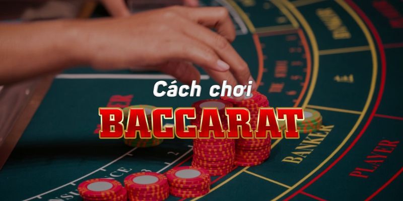 Cách chơi Baccarat đơn giản với luật cược và thuật ngữ dễ hiểu